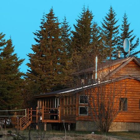 Anchor Point Bear Den Vacation Home חדר תמונה