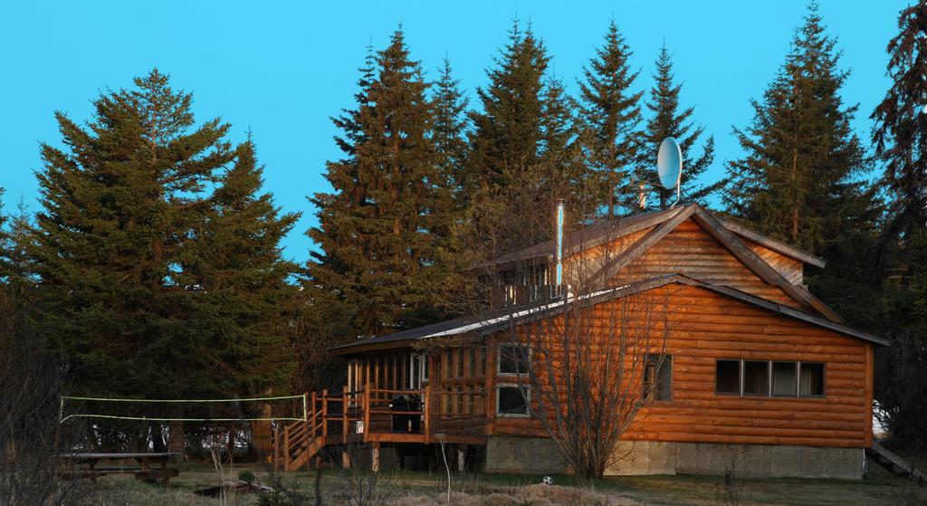 Anchor Point Bear Den Vacation Home חדר תמונה